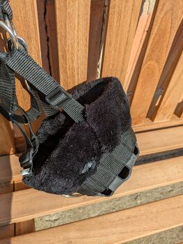 Fressbremse Shetty, Waldhausen , ponymausi, Halters, Naumburg