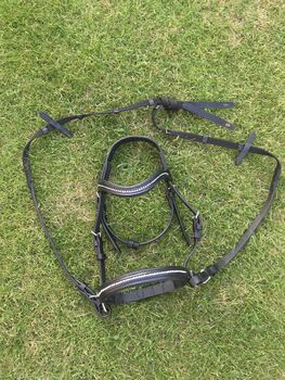 Shetty trense gebisslos, Mia, Bridles & Headstalls, Wettenberg