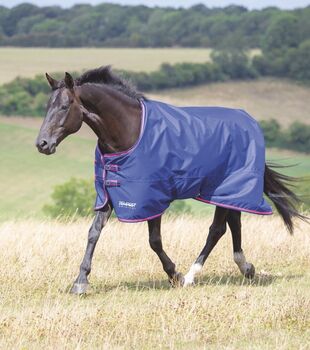 Shires Tempest Original Weidedecke 100g 145, Shires Tempest Original , Chiara Buchner, Horse Blankets, Sheets & Coolers, Adlkofen 