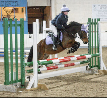 Showjumping Pony with huge potential, Lisa Crookes, Konie na sprzedaż, Keynsham