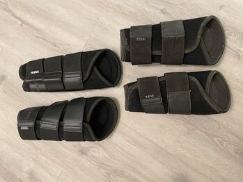 Gamaschen Set Showmaster, Showmaster All-day Training, Tamara, Tendon Boots, Schwäbisch Hall