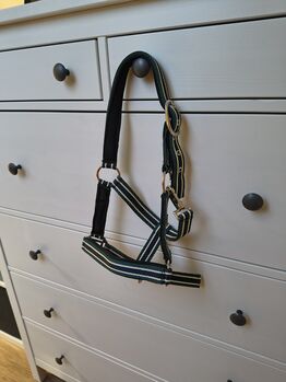 Showmaster Halfter Basic Shetlandpony Shetty neu, Showmaster Halfter Basic, Sarah, Halters, Eichstätt 