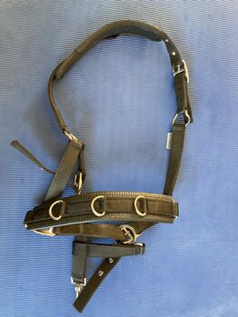 Showmaster Kappzaun schwarz, Showmaster, Natalie Klamt, Longieren, Schalkau