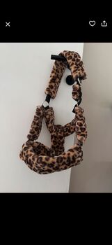 Halfter Showmaster Leopard, Showmaster  Leopard , Nadine , Kantary, Grub A. Forst