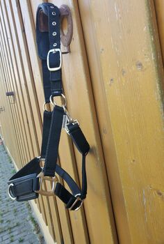 Neuwertiges Showmaster Longierhalfter Freedom schwarz Cob Showmaster  Longierhalfter Freedom