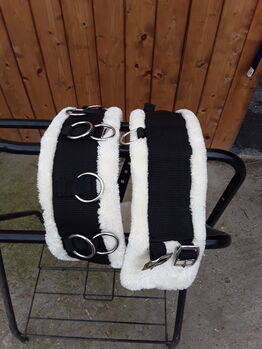 Showmaster Longiergurt / Longierbrille Showmaster 