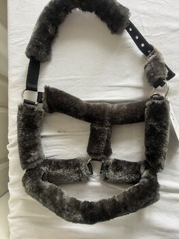 SHOWMASTER, Teddyfleece-Halfter, COB, grau, Neu, SHOWMASTER Teddy-Fleece Halfter, Gaby Lais, Halters, Malsburg-Marzell