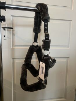 SHOWMASTER, Teddyfleece-Halfter, COB, grau, Neu SHOWMASTER Teddy-Fleece Halfter