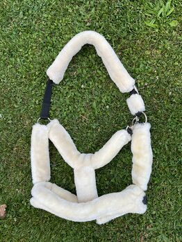 Showmaster Teddyfleece Halfter X-Full, Showmaster  Showmaster Teddyfleece Halfter X-Full, Shari Bahnsen, Halfter, Münstertal