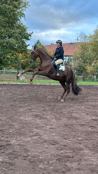 Sicher im Reitsport - Prävention und 1. Hilfe-Kurs auch für Trainer-/Kfz-Führerscheine Mitteldeutsche Pferdeakademie Veranstaltungsort Gut Drebsdorf Südharz