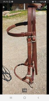 Sidepull 1 Jahr alt, Jenny Hinterholzner , Bitless Bridles, Simbach 