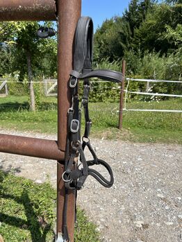 Sidepull / Bitless Bridle, Barefoot Syringa, Luzia, Bitless Bridles, Spiez