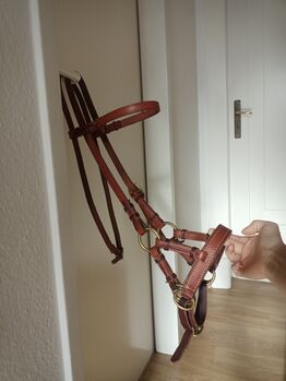 SidePull, Cognac / Messing, VB / WB, Trense gebisslos, M. Wegner , Bitless Bridles, Hilden