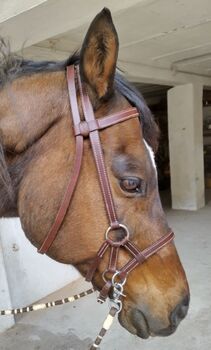 Sidepull für Pony, Nicht bekannt  Nicht bekannt , Gertrud Heid , Bitless Bridles, Gengenbach