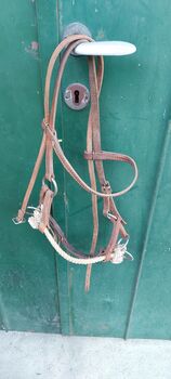 Sidepull Gr. COB, Jennifer, Nosebands, Stams