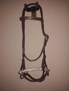 Sidepull Pony, HKM Texas, Sarah Findeisen , Bitless Bridles, Chemnitz