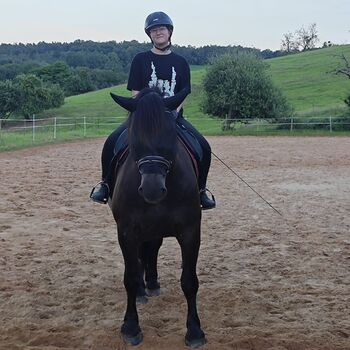 Bedingt reitbarer Beisteller