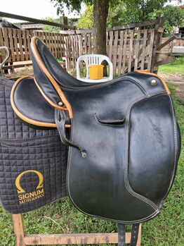 Signum Dressursattel Signum Variante classic