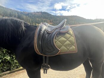 Signum Omega Barocksattel Signum  Omega