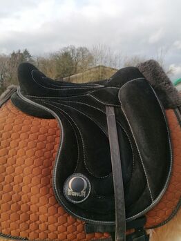 Signum Paddle M OHNE Klettkissen, Signum  Paddle, Steffi , Treeless Saddle, Hagen
