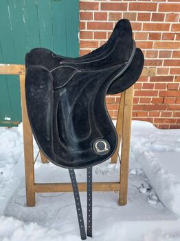 Signum Paddle Gr. M, Signum, Celine, Treeless Saddle, Neustadt