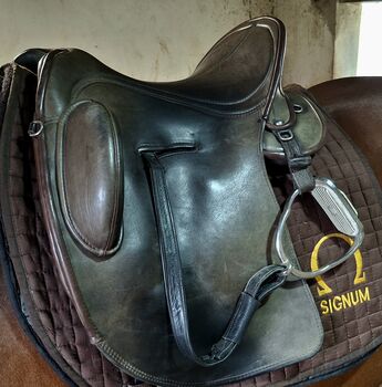 Signum Sattel Modell Rose, Signum Rose, Adi, Other Saddle, St.Georgen bei Grieskirchen