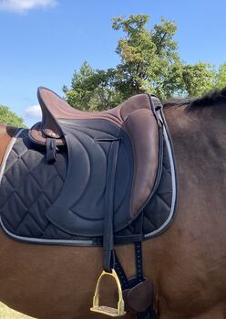 Signum Sattel / neuwertig, Signum , Lena, Baroque Saddle, Osterburg 