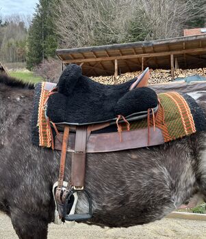 Signum Vaquero Signum  Vaquero 