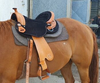 Signum Western Paddle, Signum Westernpaddle, Catharina , Westernsattel, Zilshausen