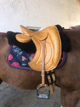 Signum Sattel in Sonderlackierung, Signum , Christin , Dressage Saddle, Freising 