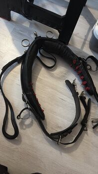 Einspännergeschirr Cob, Lea, Horse Harness, Adelebsen