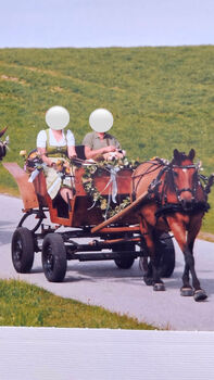 Einspänner Steirerwagerl