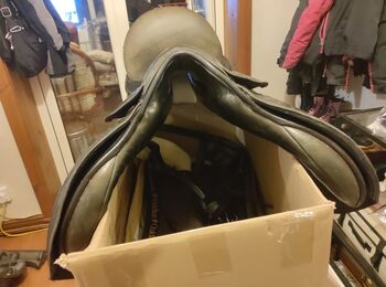 Anthill saddle Anthill Working hunter