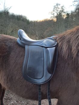 Selle Eques Black 17.5 arçon vert, EQUES Black, Alexia, Siodła islandzkie, Tavier