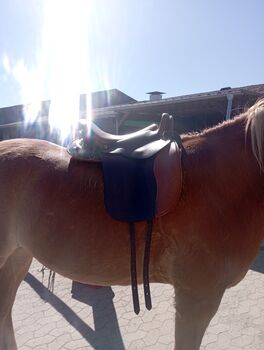 Sommer Evolution WanderreitSattel Sommer Evolution 