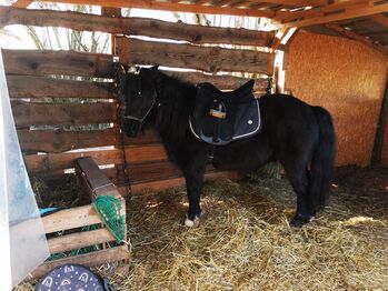 HORSE & PASSION Sattel Horse & Passion