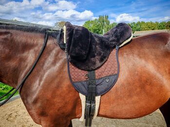 Lammfellsattel Fellsattel Premium Plus XH Warmblut, Werner Christ  Fellsattel Premium Plus XH, Lena, Inne podkładki pod siodło, Berlin