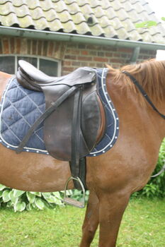 Passier VS Sattel ca. 17,5" Welsh Pony Reitpony Passier