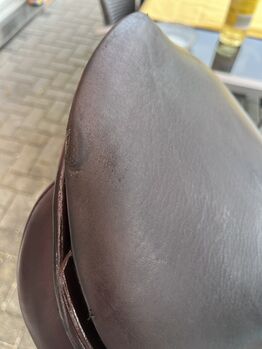 Passier Springsattel Marcus Ehring braun Passier Marcus Ehring