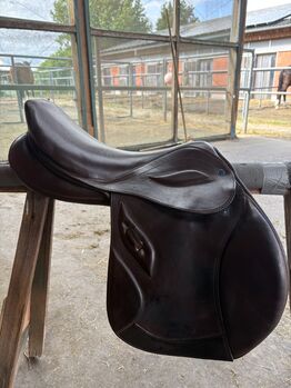 Stubben Springsattel Phoenix Elite Stubben Phoenix Elite
