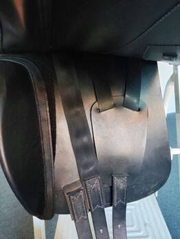 Amigo Dressursattel, Pinerolo Cortina, 17,5 Zoll Sitzfläche Amerigo  Pinerolo Cortina 