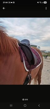 Hintermayer Dressursattel anatomic Hintermeyer  Anatomic Dressage