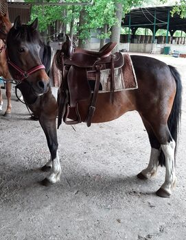 Westernsattel Kerbel  Westernsattel aus geöltem Leder