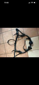 Zaumzeug Stübben Stüben Freedom 