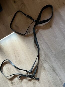 Skijöring Set, Felix Bühler, Laura, Groundwork, Gysenstein