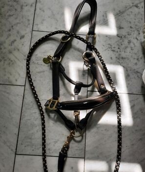 Lederhalfter Bridlery WB neu Bridlery 