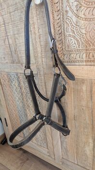 Lederhalfter Warmblut, ponymausi, Kantary, Naumburg
