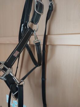 Lederhalfter elegant mit gurtzügel reithalfter