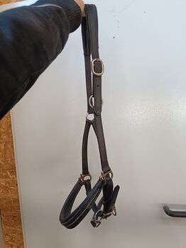 Lederhalfter COB schwarz, Manuela , Kantary, Kirchdorf