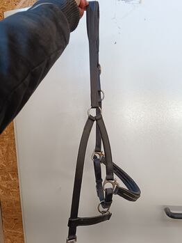 Lederhalfter COB schwarz